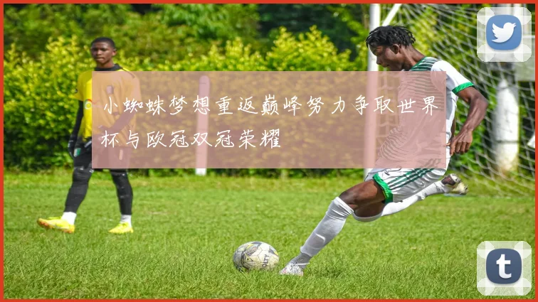 小蜘蛛梦想重返巅峰努力争取世界杯与欧冠双冠荣耀