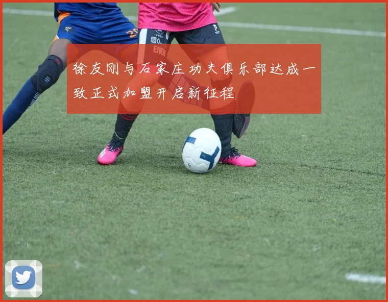 徐友刚与石家庄功夫俱乐部达成一致正式加盟开启新征程
