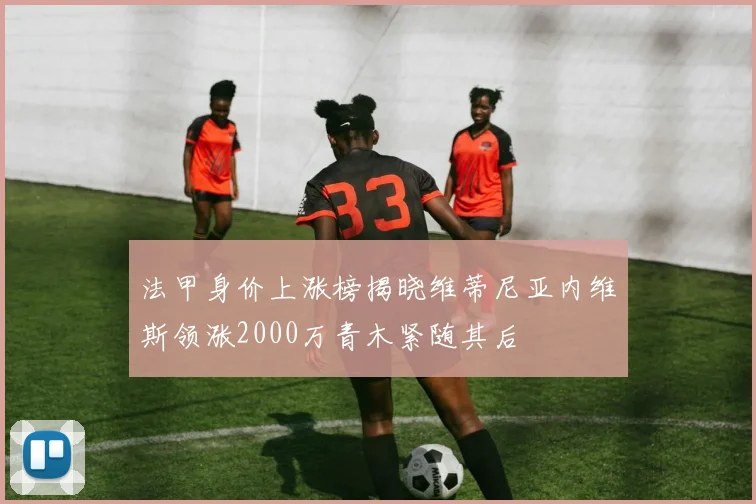 法甲身价上涨榜揭晓维蒂尼亚内维斯领涨2000万青木紧随其后